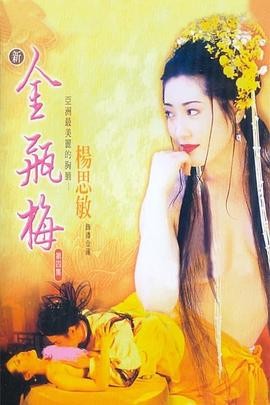 新金瓶梅第四卷