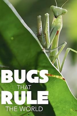 虫临天下 第一季 Bugs That Rule the World Season 1