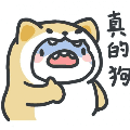bazi